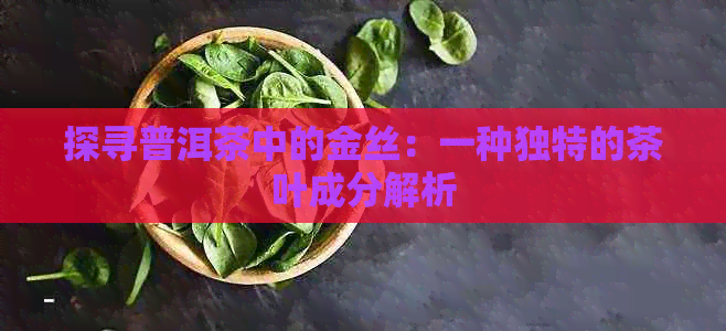 探寻普洱茶中的金丝：一种独特的茶叶成分解析