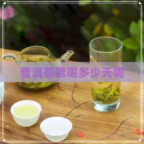 普洱茶能喝多少天呢