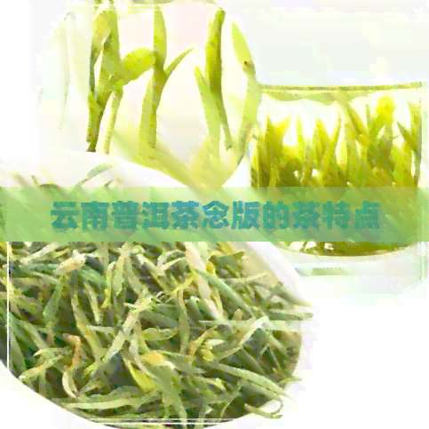 云南普洱茶念版的茶特点