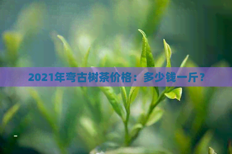 2021年弯古树茶价格：多少钱一斤？