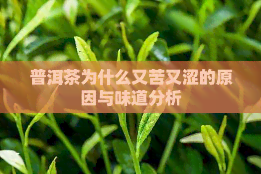 普洱茶为什么又苦又涩的原因与味道分析