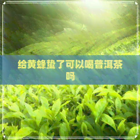 给黄蜂蛰了可以喝普洱茶吗