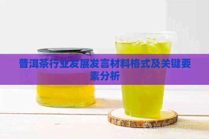 普洱茶行业发展发言材料格式及关键要素分析