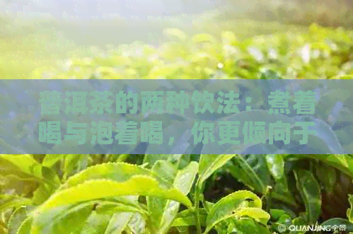 普洱茶的两种饮法：煮着喝与泡着喝，你更倾向于哪种？