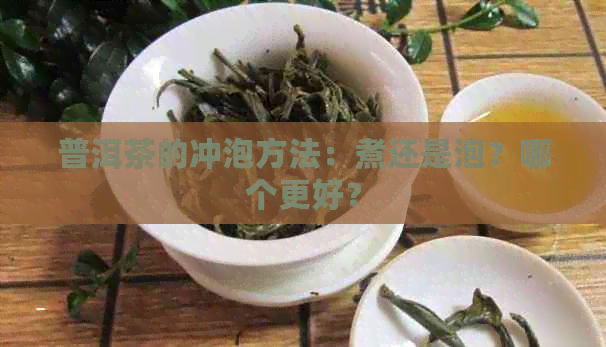 普洱茶的冲泡方法：煮还是泡？哪个更好？