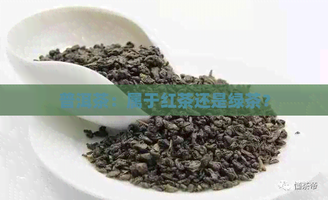 普洱茶：属于红茶还是绿茶？