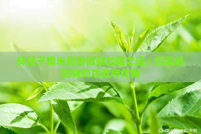 碎银子糯米香普洱茶的健之道：探索其独特的功效与作用