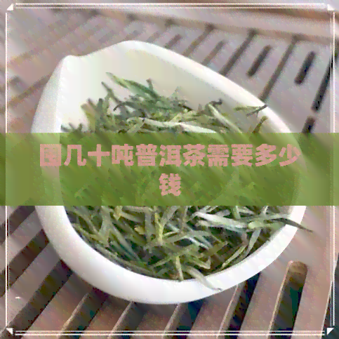 囤几十吨普洱茶需要多少钱