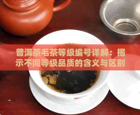 普洱茶毛茶等级编号详解：揭示不同等级品质的含义与区别