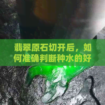 翡翠原石切开后，如何准确判断种水的好坏？