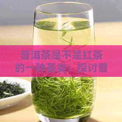 普洱茶是不是红茶的一种茶类：探讨普洱茶与红茶的关系