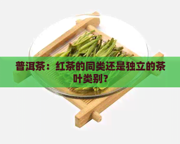 普洱茶：红茶的同类还是独立的茶叶类别？