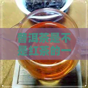 普洱茶是不是红茶的一种茶