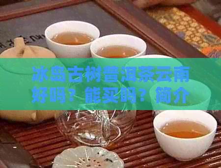 冰岛古树普洱茶云南好吗？能买吗？简介。