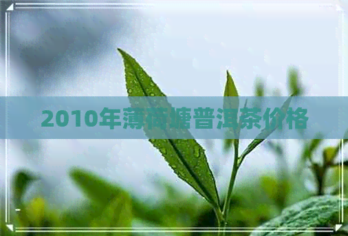 2010年薄荷塘普洱茶价格