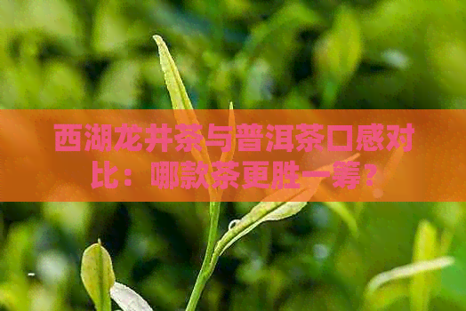 西湖龙井茶与普洱茶口感对比：哪款茶更胜一筹？