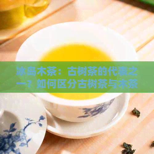 冰岛木茶：古树茶的代表之一？如何区分古树茶与木茶？