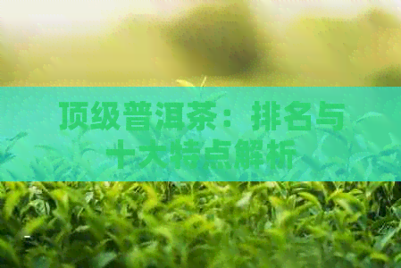 顶级普洱茶：排名与十大特点解析