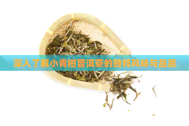 深入了解小青柑普洱茶的独特风味与品质