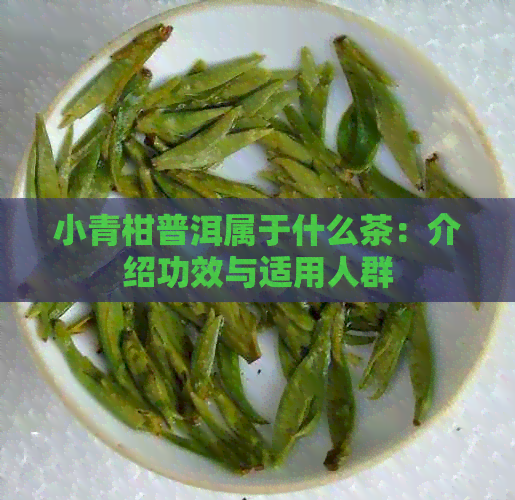 小青柑普洱属于什么茶：介绍功效与适用人群