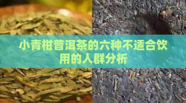 小青柑普洱茶的六种不适合饮用的人群分析