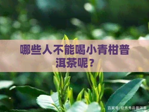 哪些人不能喝小青柑普洱茶呢？