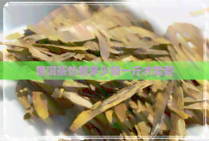 普洱茶价格多少钱一斤才能要