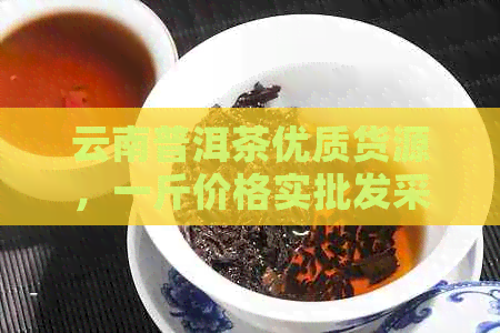 云南普洱茶优质货源，一斤价格实批发采购