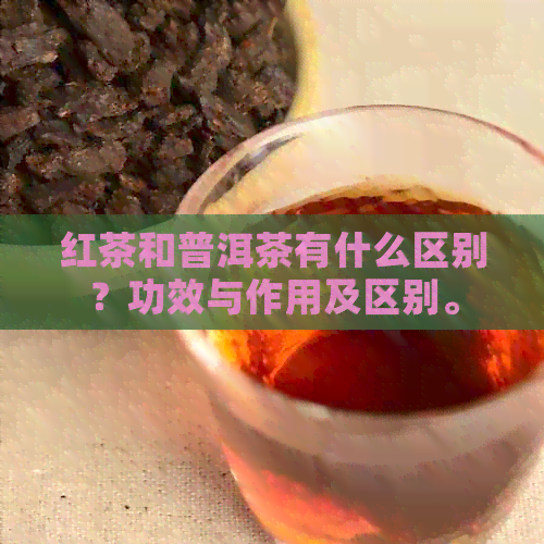 红茶和普洱茶有什么区别？功效与作用及区别。