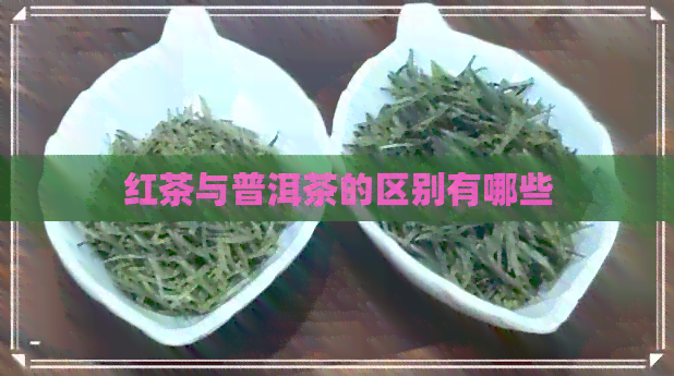 红茶与普洱茶的区别有哪些