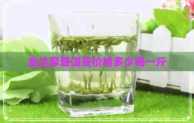 金达摩普洱茶价格多少钱一斤