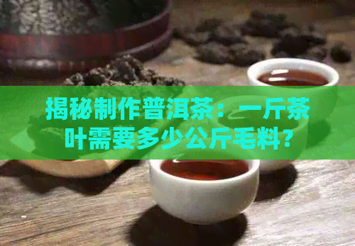 揭秘制作普洱茶：一斤茶叶需要多少公斤毛料？