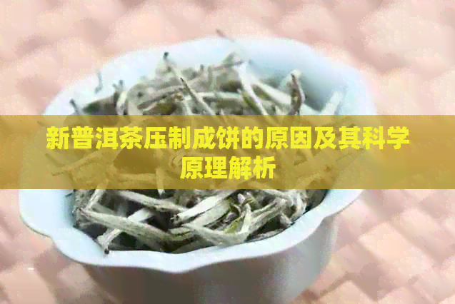 新普洱茶压制成饼的原因及其科学原理解析