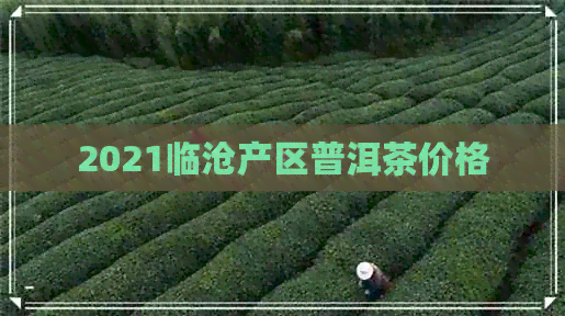 2021临沧产区普洱茶价格