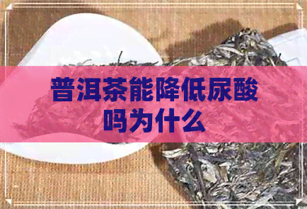 普洱茶能降低尿酸吗为什么