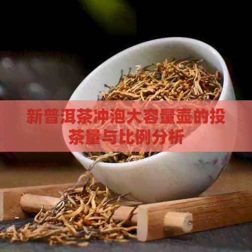 新普洱茶冲泡大容量壶的投茶量与比例分析