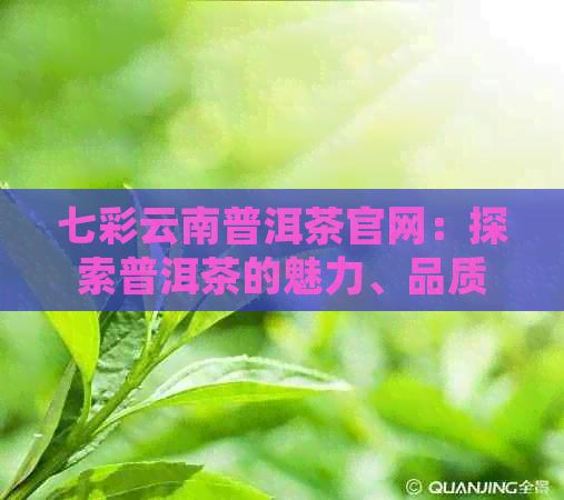 七彩云南普洱茶官网：探索普洱茶的魅力、品质与泡法，打造您的专属茶道体验