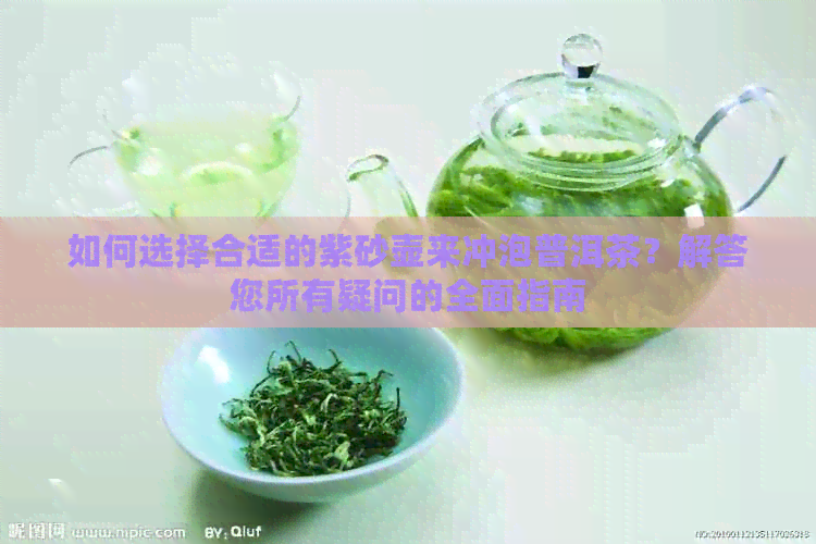 如何选择合适的紫砂壶来冲泡普洱茶？解答您所有疑问的全面指南