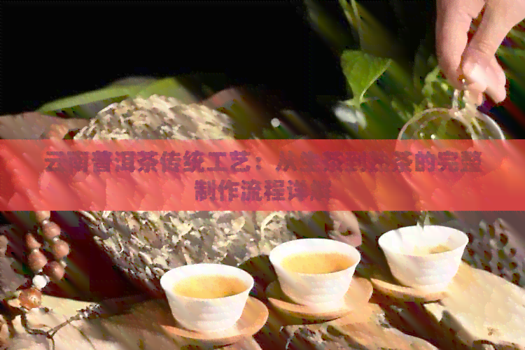 云南普洱茶传统工艺：从生茶到熟茶的完整制作流程详解