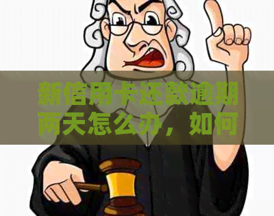 新信用卡还款逾期两天怎么办，如何避免影响信用记录？