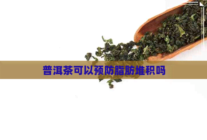 普洱茶可以预防脂肪堆积吗