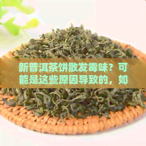 新普洱茶饼散发霉味？可能是这些原因导致的，如何解决？