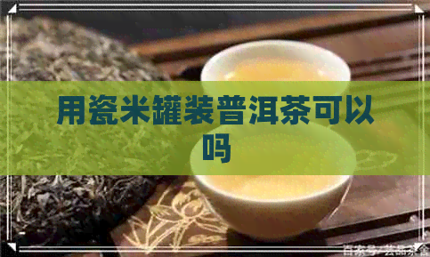 用瓷米罐装普洱茶可以吗