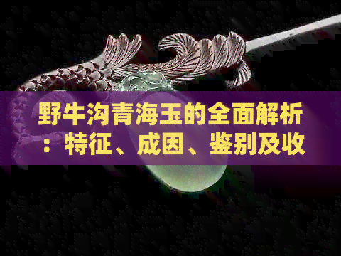 野牛沟青海玉的全面解析：特征、成因、鉴别及收藏价值