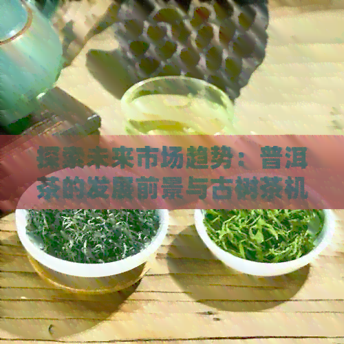 探索未来市场趋势：普洱茶的发展前景与古树茶机会分析