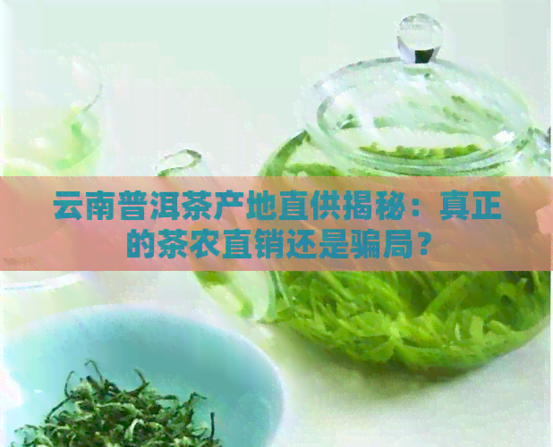 云南普洱茶产地直供揭秘：真正的茶农直销还是骗局？