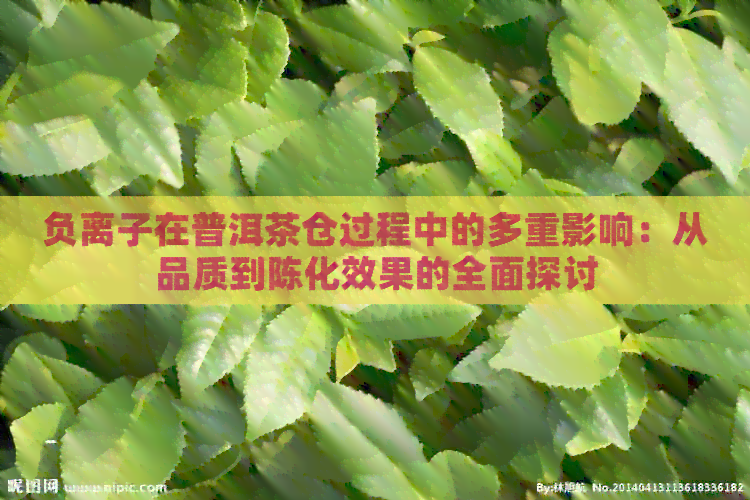 负离子在普洱茶仓过程中的多重影响：从品质到陈化效果的全面探讨