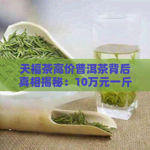 天福茶高价普洱茶背后真相揭秘：10万元一斤的茶叶真的存在吗？