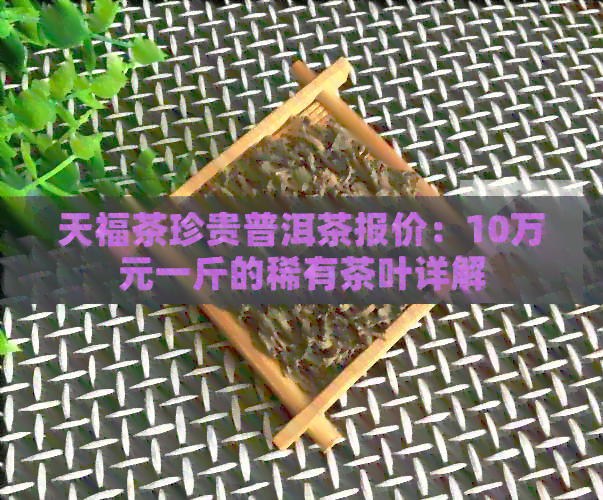 天福茶珍贵普洱茶报价：10万元一斤的稀有茶叶详解