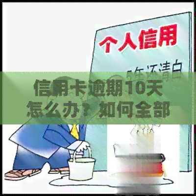 信用卡逾期10天怎么办？如何全部还清？